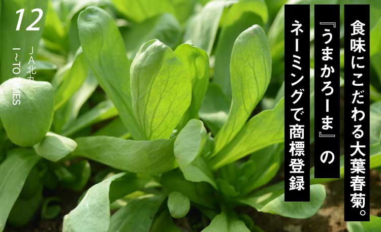 北九州農業協同組合(SP用)